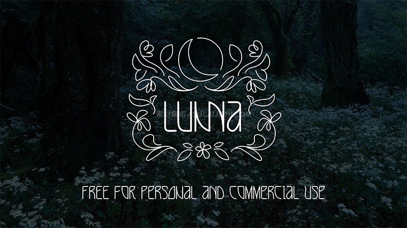 LUNNA细线几何字体,免费可商用